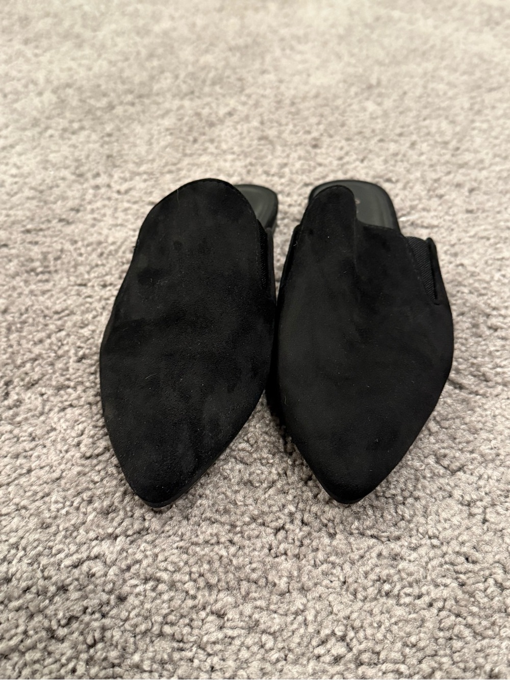 Splendid - 6.5 Women's Pointed Toe Slip-On Flats in Black